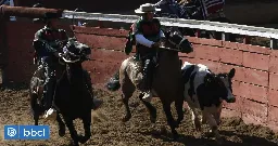 Pleno del Consejo Constitucional rechaza establecer el rodeo chileno como deporte nacional