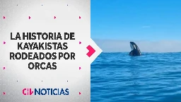 "QUEDAMOS PÁLIDOS”: La impactante historia de kayakistas que fueron rodeados por orcas en Pichilemu
