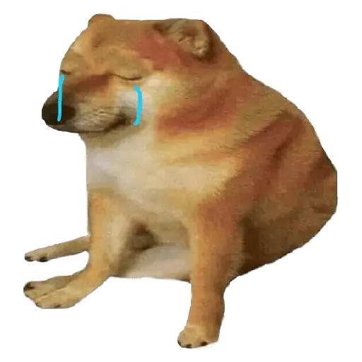 Cheems llorando