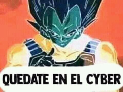 Vegeta en negativo diciendo Quédate en el cyber