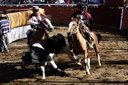 Comisión del Consejo aprueba enmiendas: rodeo como deporte nacional y hay que “honrar la patria”