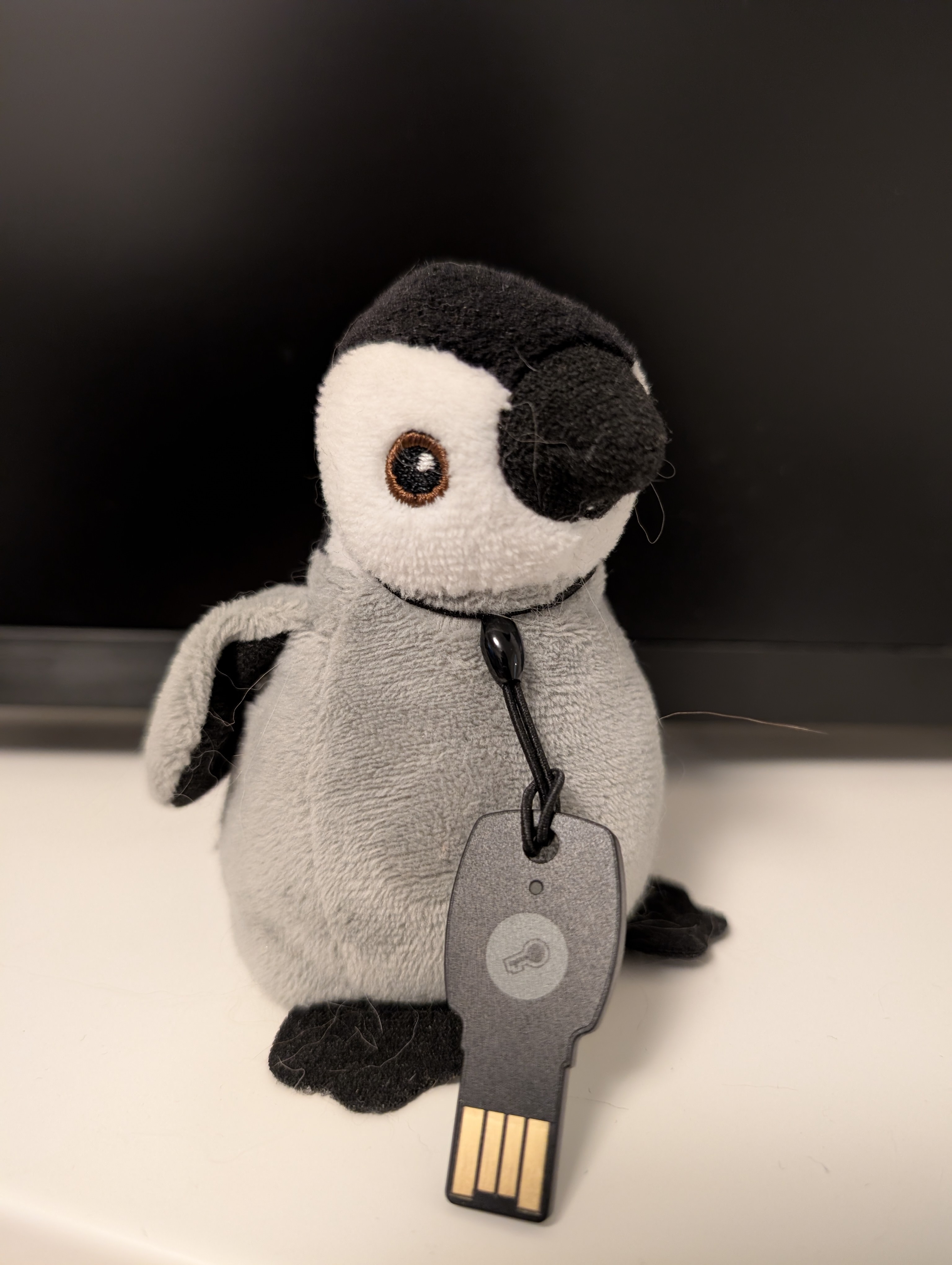 Un peluche de pingüino con una llave USB colgando del cuello.