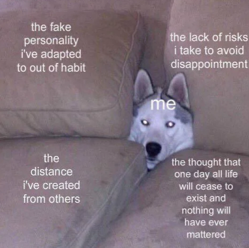 puppy snuggled deep in the couch cushions. puppy is labeled Me. couch cushions labeled The fake personality I made out of habit. The distance I've created from others. The lack of risks so I don't get disappointed. The thought everything ends so.who cares