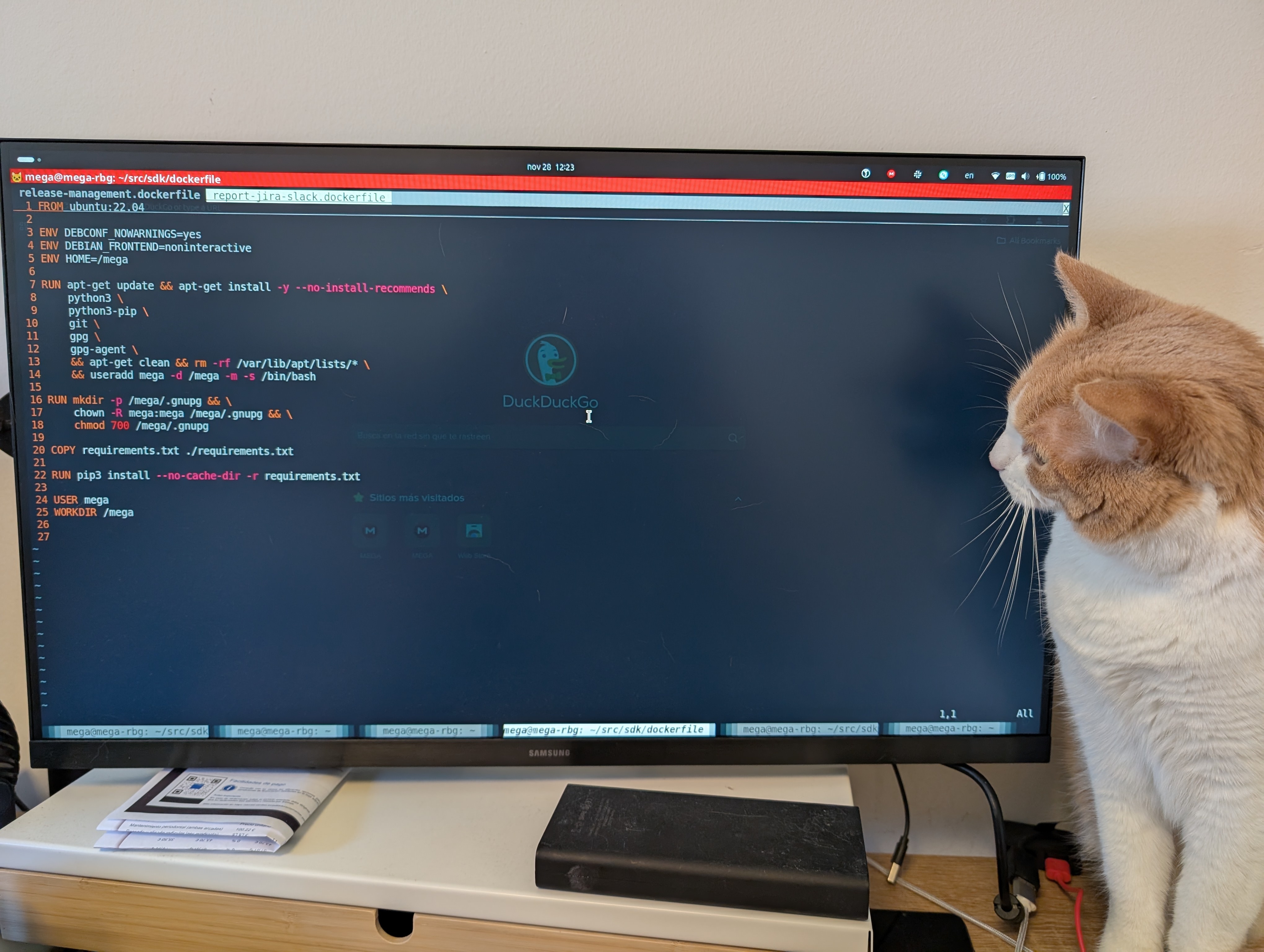 Un gato mirando un monitor que muestra un dockerfile